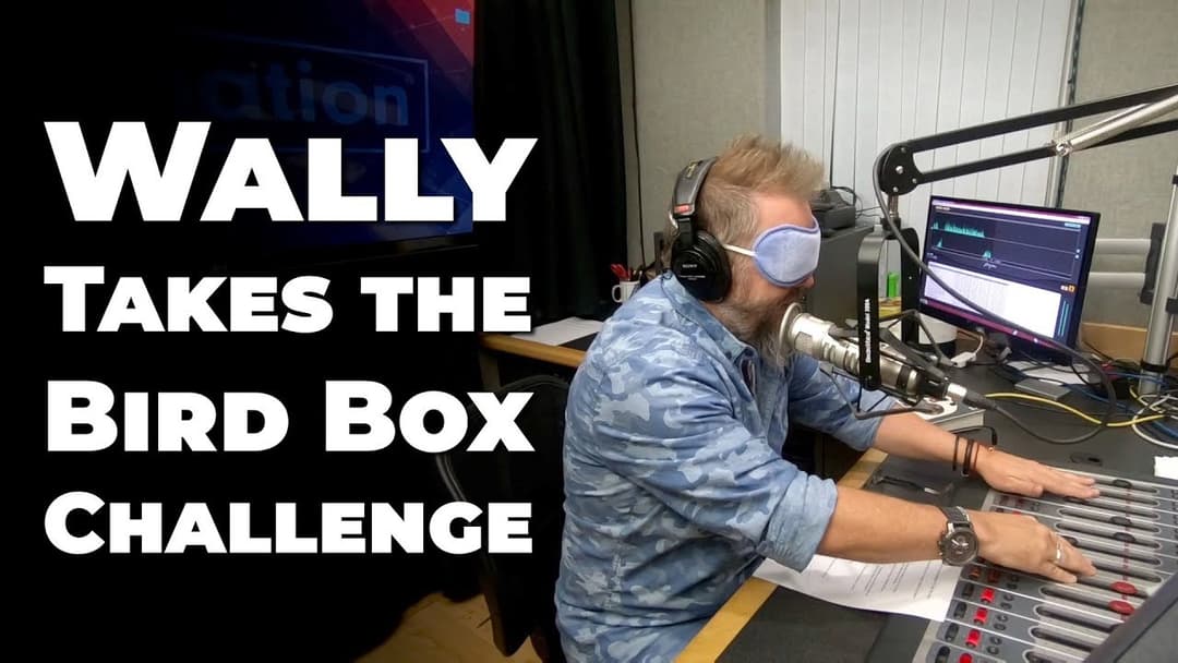 Wally Takes On the Bird Box Challenge